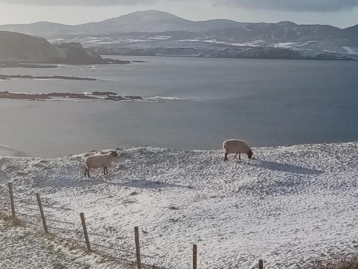 B&B The Red Door Cottage Donegal Town Luaran gambar