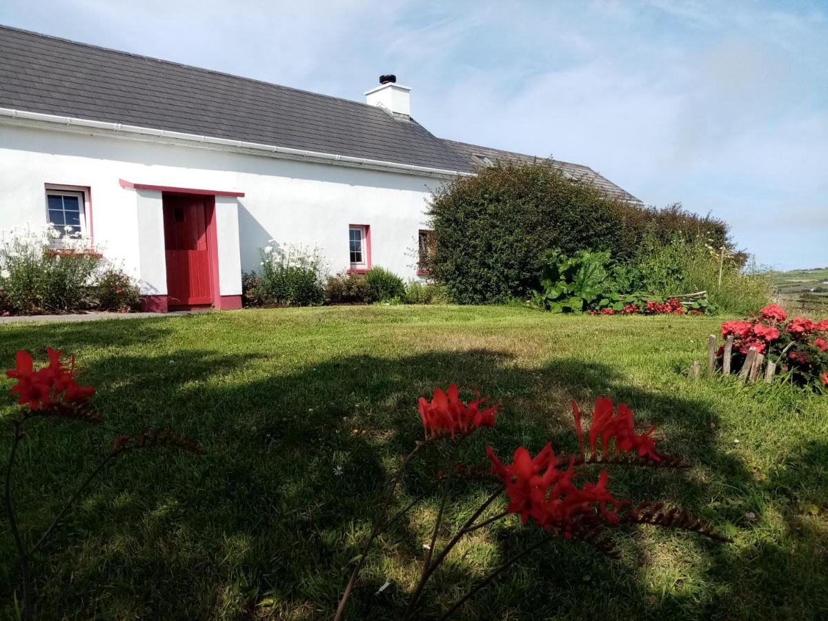 B&B The Red Door Cottage Donegal Town Luaran gambar