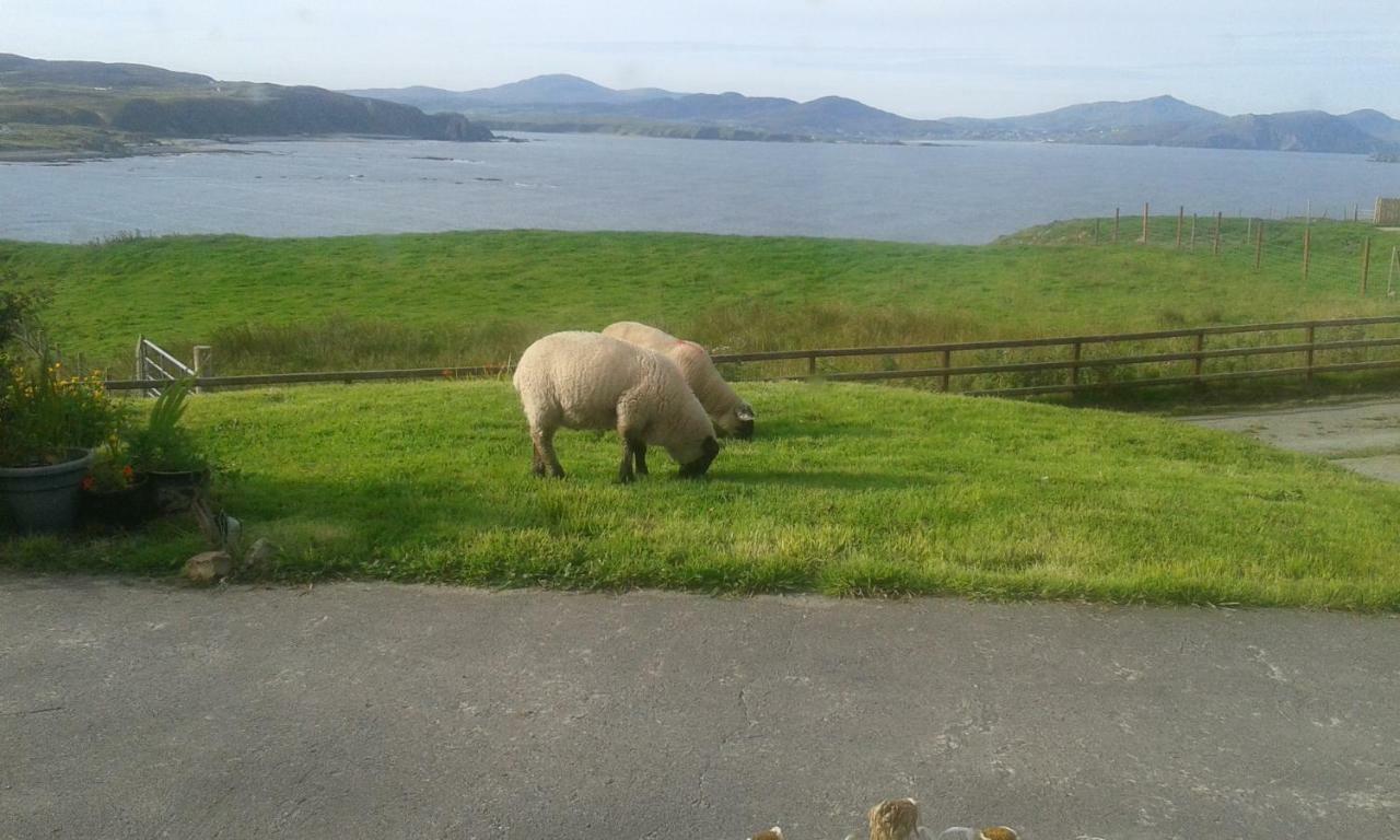 B&B The Red Door Cottage Donegal Town Luaran gambar