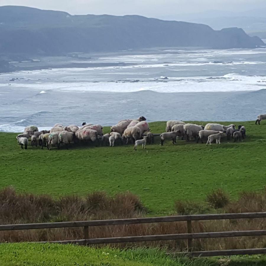 B&B The Red Door Cottage Donegal Town Luaran gambar